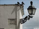 Parque de las Palomas - SAN JUAN
